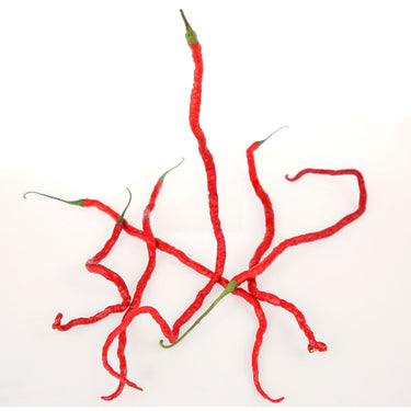 Thunder Mountain Longhorn Pepper Seeds - The Pepper Pantry (Formerly Marie Sharp's)